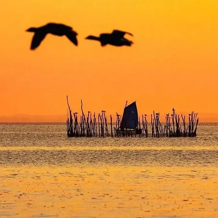 Homestay Belle Double