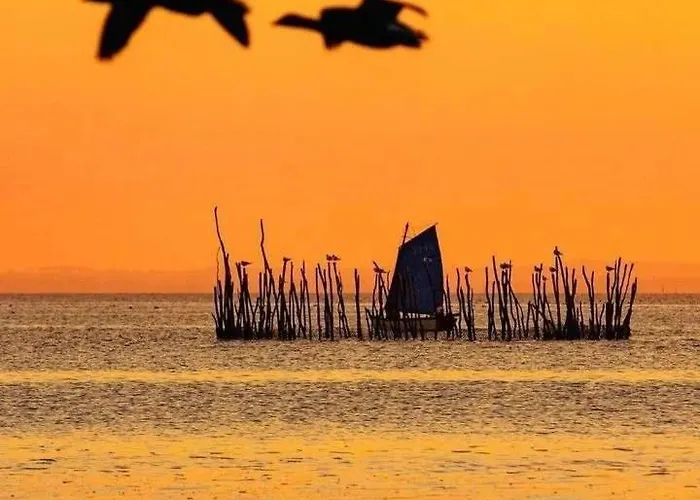 Homestay Belle Double